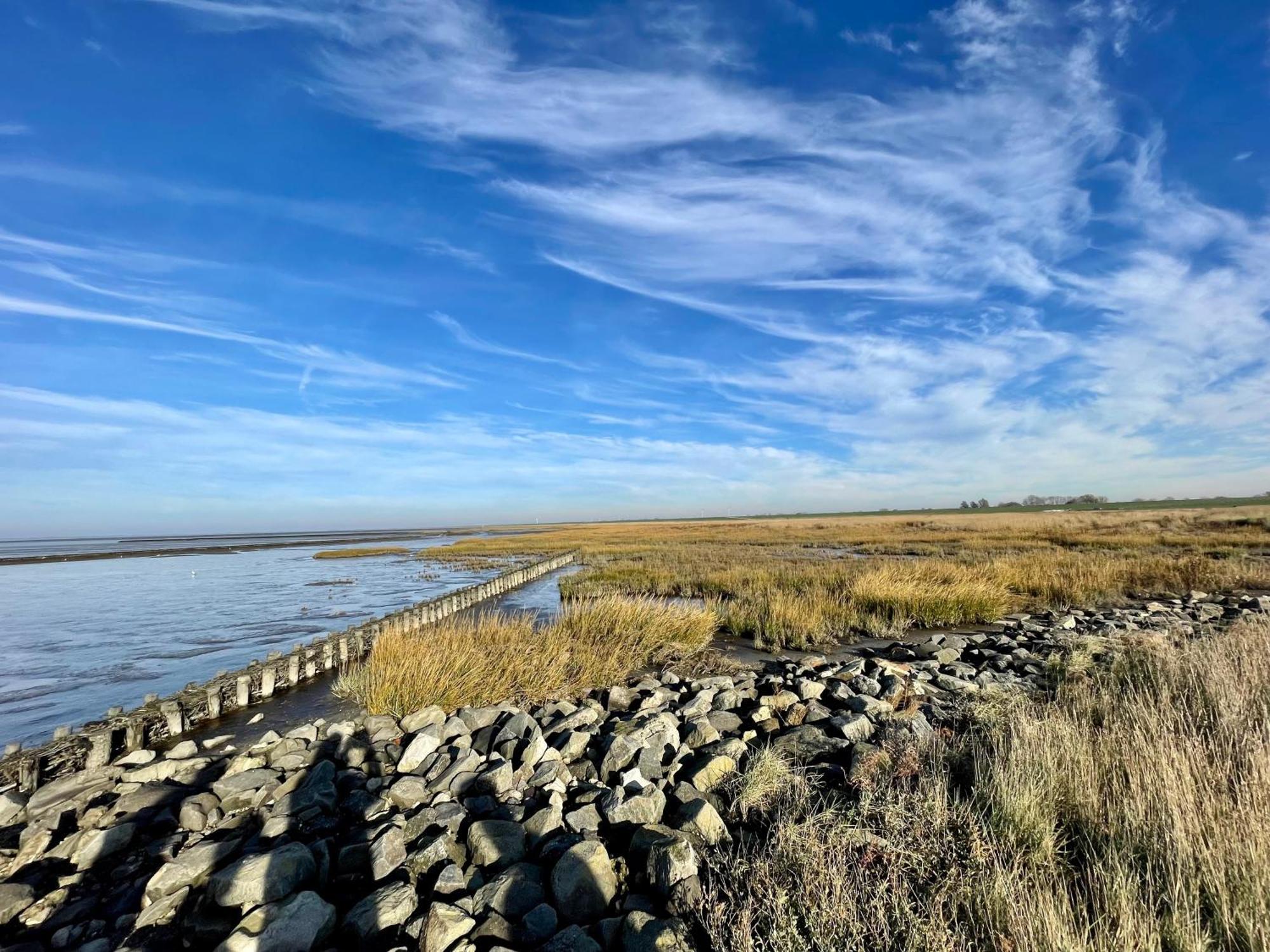 Haus Meerauszeit - Erholung An Der Nordsee Schweiburg Eksteriør bilde